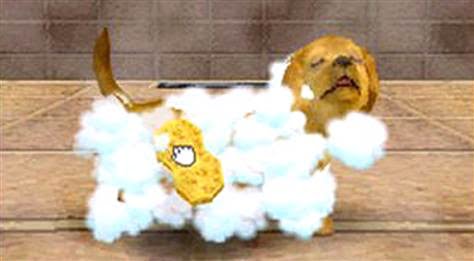 Nintendogs, touch, touchscreen, stylus games