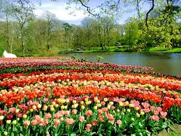 keukenhof, cell phone, ladiesgamers, blogging