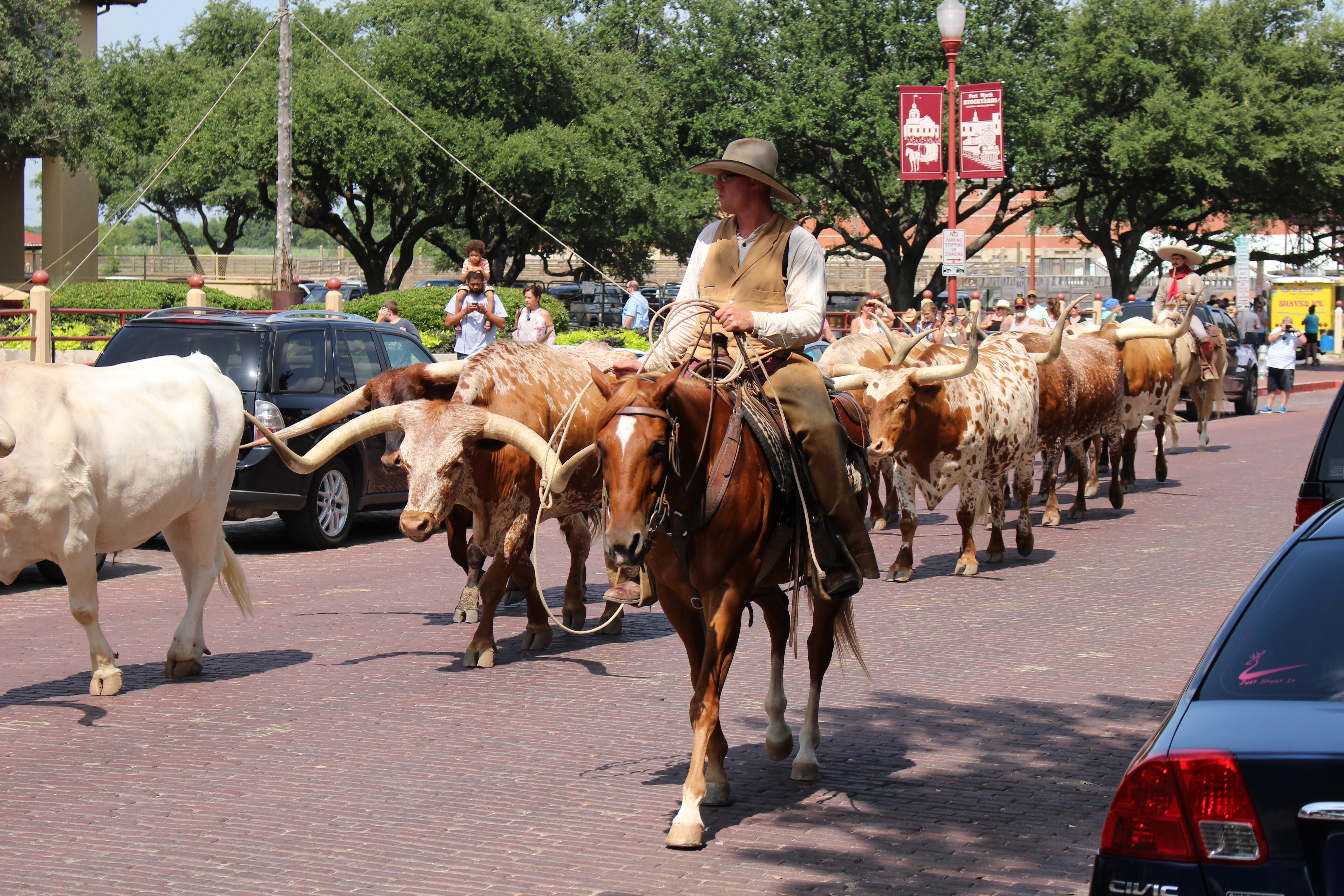 Dallas, Fort Worth, stockyards, cattle drive