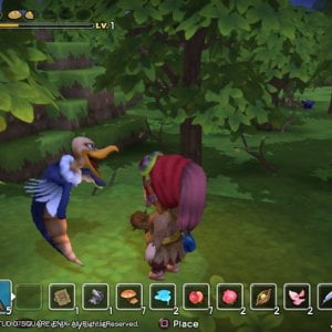 DQ Builders Ladiesgamers.com