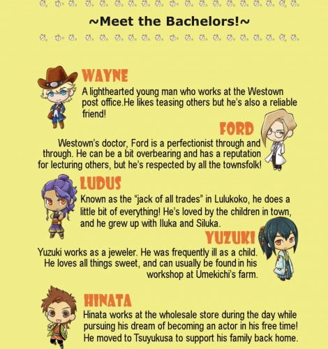 Story of Seasons, bachelors Trio of Towns,