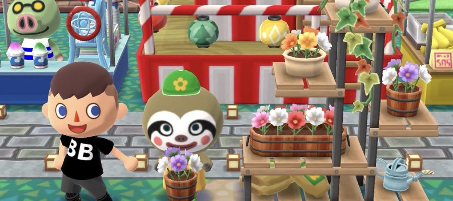 Pocket Camp