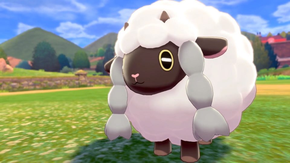 Pokémon sword and Shield LadiesGamers