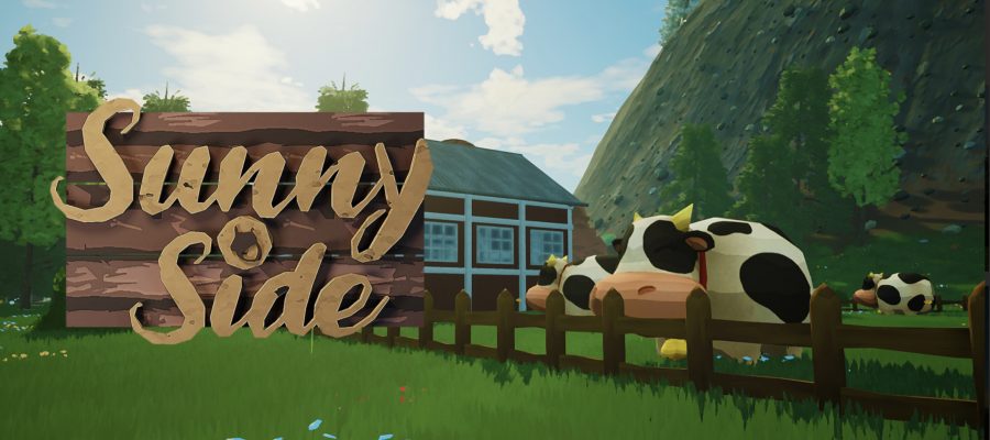 Sunnyside Kickstarter LadiesGamers