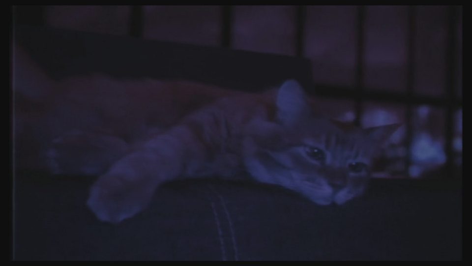 LadiesGamers PUSS