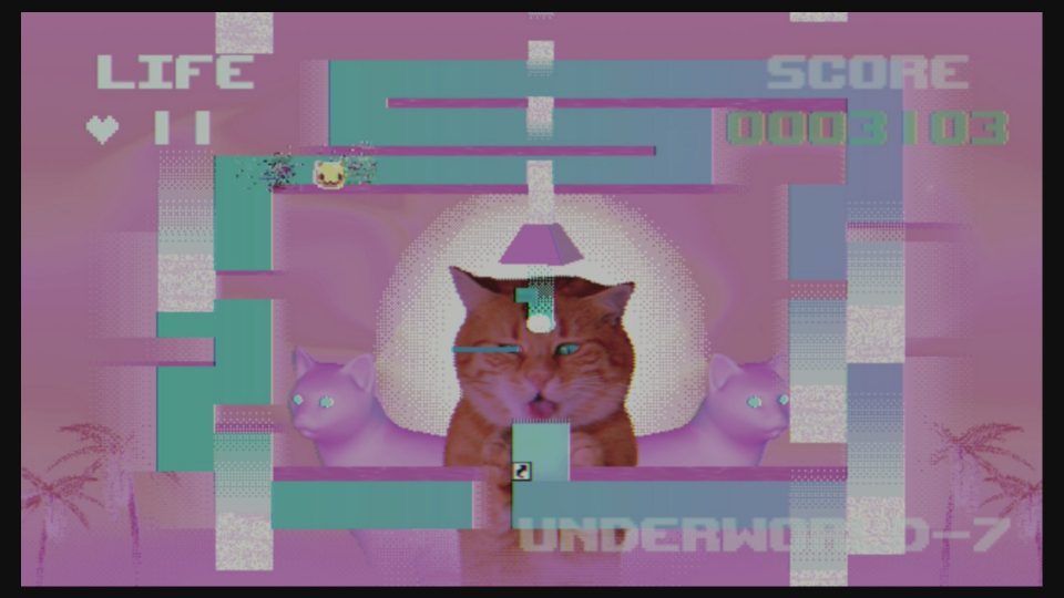 LadiesGamers PUSS