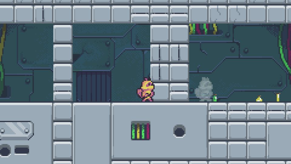 LadiesGamers Rift Racoon