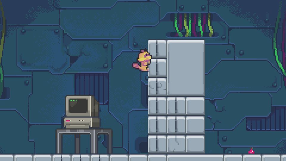 LadiesGamers Rift Racoon