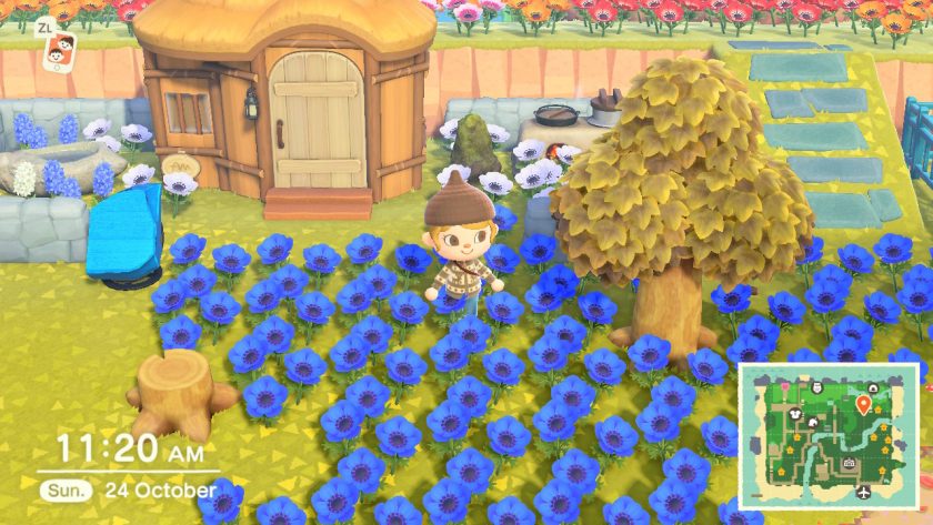 Animal Crossing ACNH