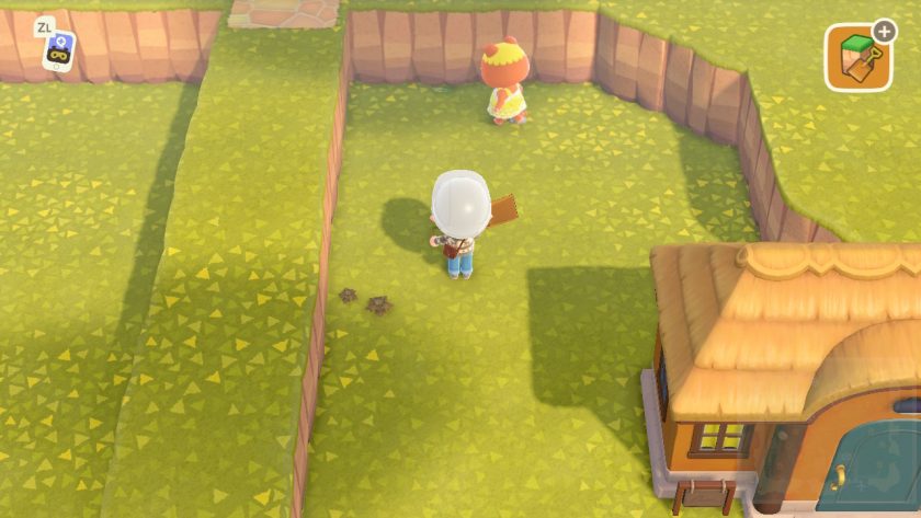 Animal Crossing ACNH