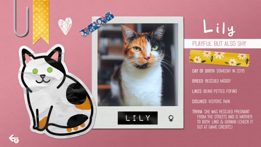Sudocats. Ladiesgamers.com. The gallery image of Lily the cat.