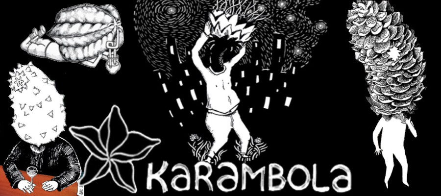 Karambola Review LadiesGamers
