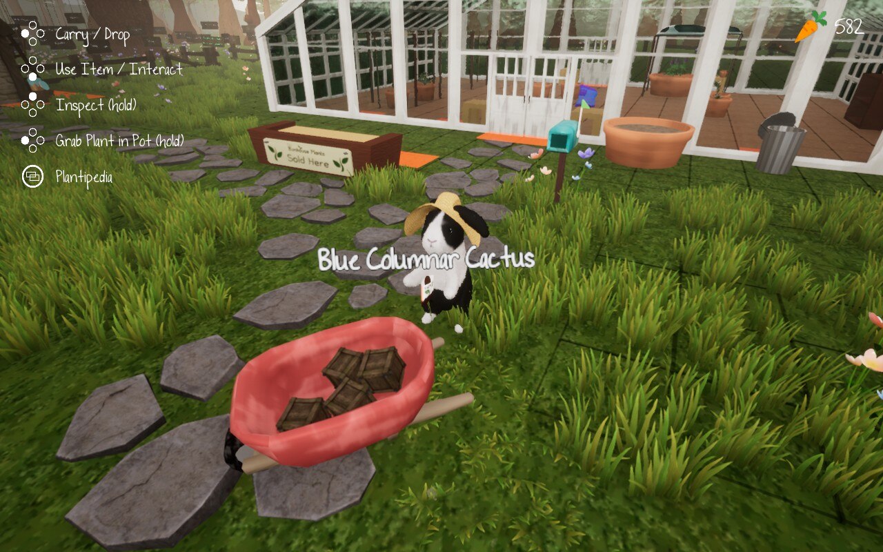 Bunhouse Review