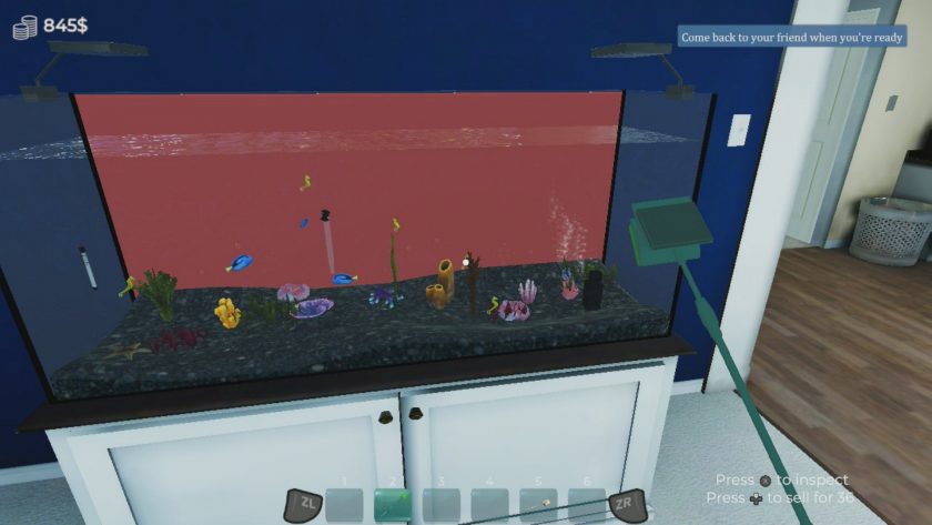 LadiesGamers Aquarist 