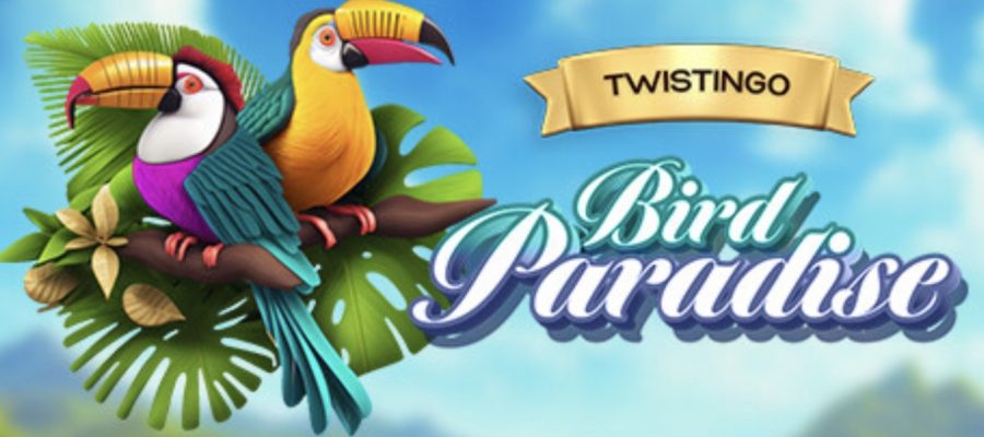 Twistingo: Bird Paradise Collector's Edition LadiesGamers
