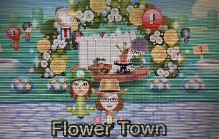 Streetpass Garden Flower Town