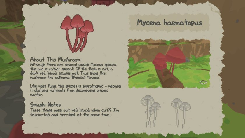 A fact sheet about the real life Mycena haematopus mushroom also known as the bleeding mycena