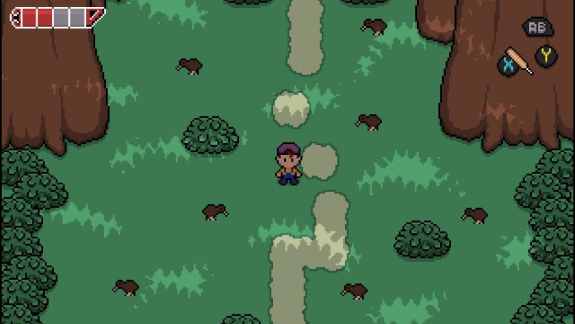 Tai is standing in a forest surrounded by cute little Kiwis