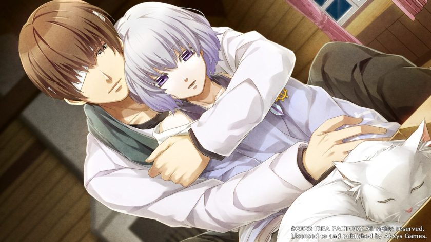 Ron and Nanami are looking at a sleeping cat together