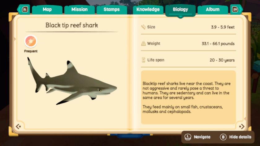 Biology page of the notebook describes the size, weight and life span of a black tip reef shark, with some notes about it's habitat.