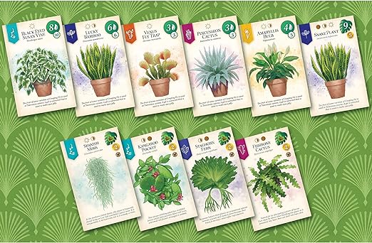 Board games for family fun Verdant