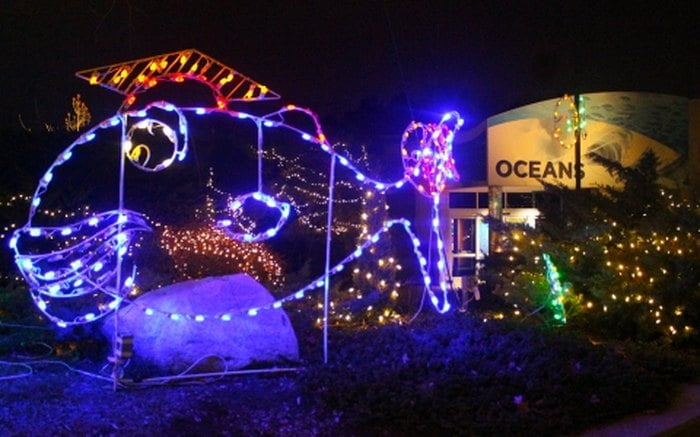 christmas memories christmas lights