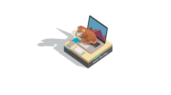 Cute cat on a laptop