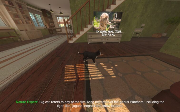 Discover Nine Must Play Demos on Steam  Copycat