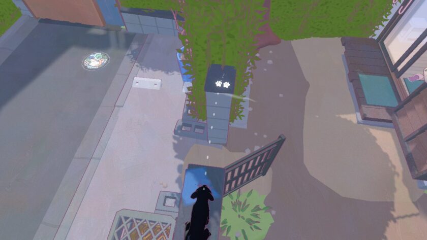 The little kitten crouching on one side of a gate, with paw prints marking where they will jump to.