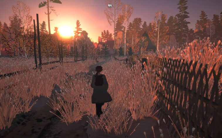 A girl walking through a field