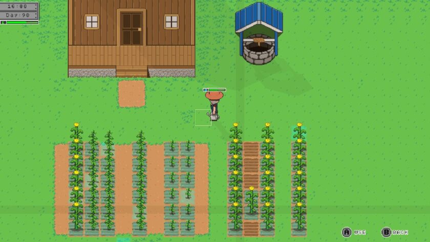 Field of corn in columns, each at different stages of growth. Published on: LadiesGamers