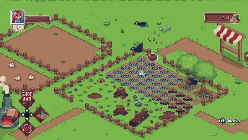 Fields with crows landing on the crops. Published on: LadiesGamers