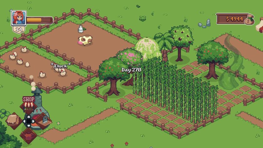 Fields with sugar cane growing, six trees around the edge and a large beanstalk. There is also a field containing chickens. Published on: LadiesGamers