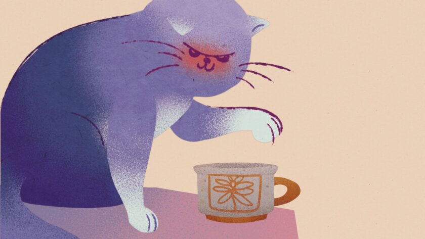 The cat breaking a mug.