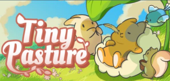 Steam Games
