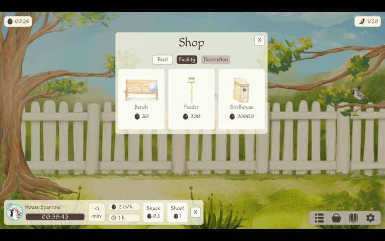 buying options for the backyard