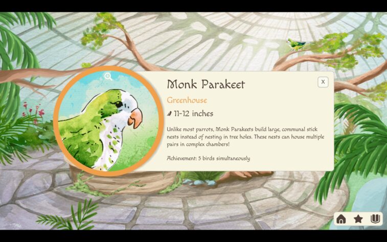 An info card for a parakeet