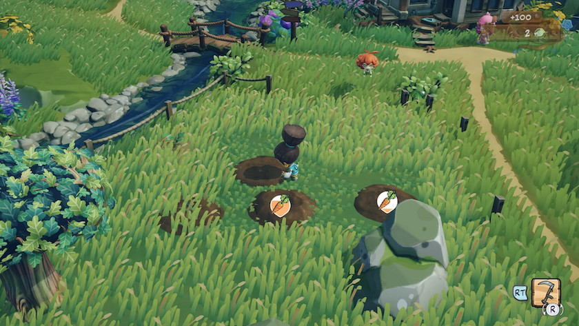Farming in Maliki, with carrots in varying stages of growth