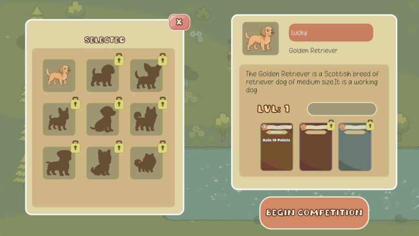 choosing a golden retriever for a dog competition. Published on LadiesGamers