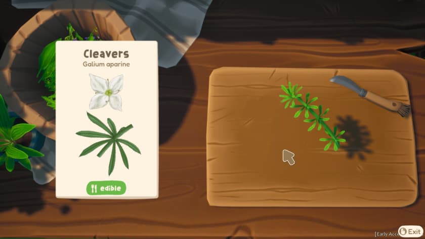 A plant sits next to a card that shows more information on it in Out and About. Published on LadiesGamers