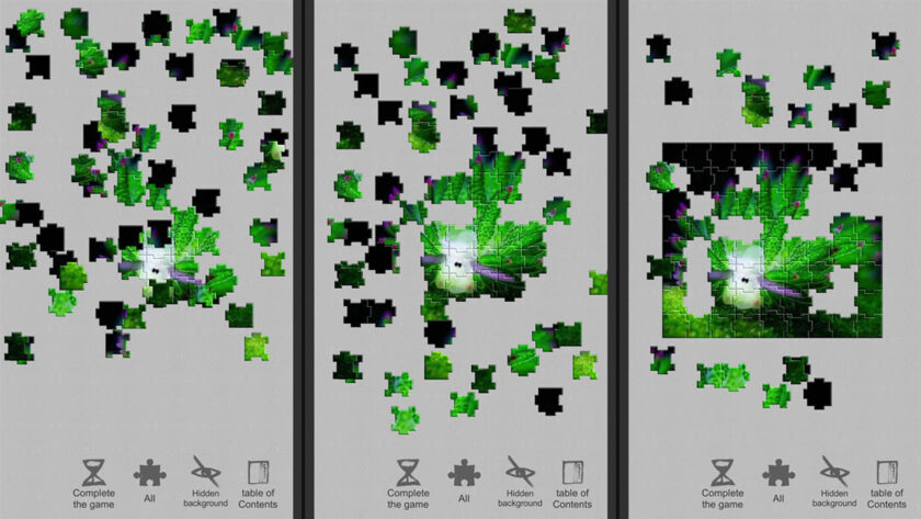 a puzzle in progress. Published on LadiesGamers