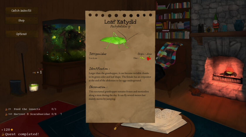 An infocard for an insect