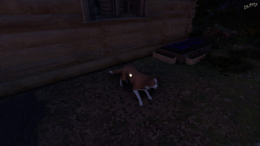 Log Away doggo