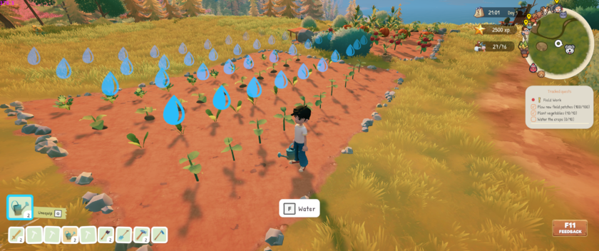 Everdream Village: a field of newly planted crops that need to be watered.