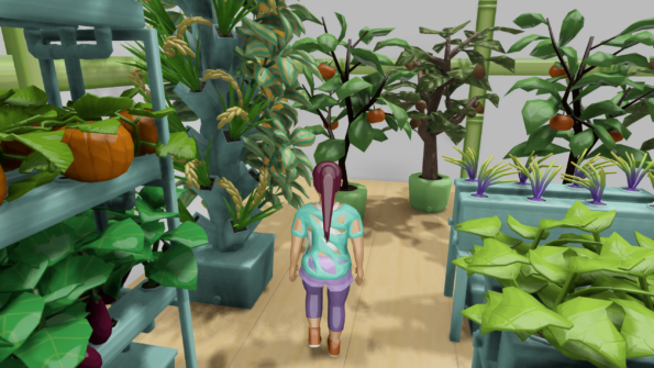 Very large pumpkins and tomatoes in the greenhouse