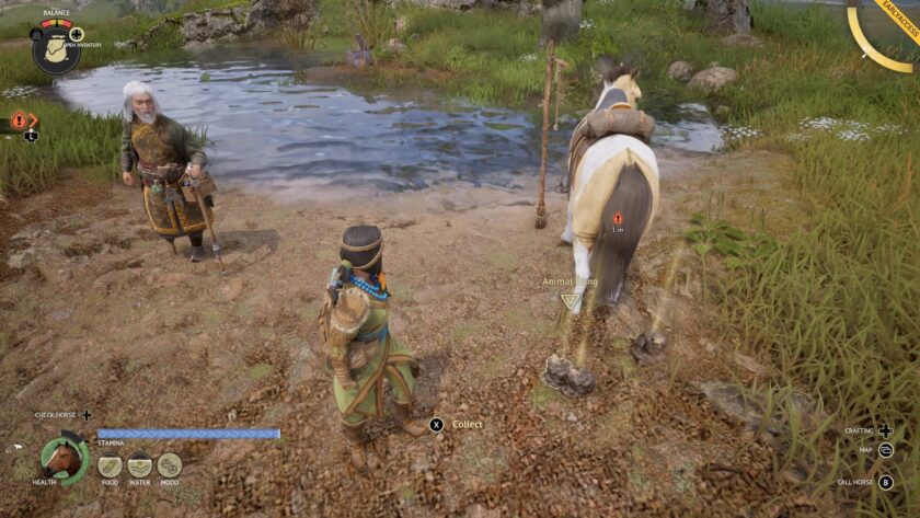 The Legend of Khiimori horse poop