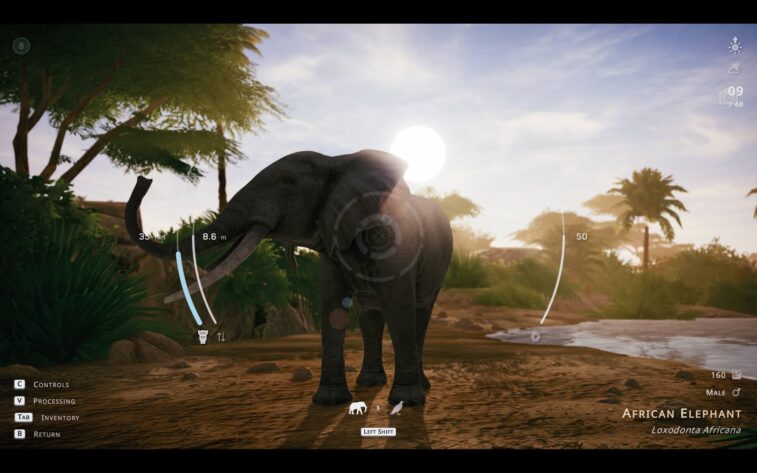 Gemini said In-game photography mode capturing an African elephant at sunrise near a watering hole.