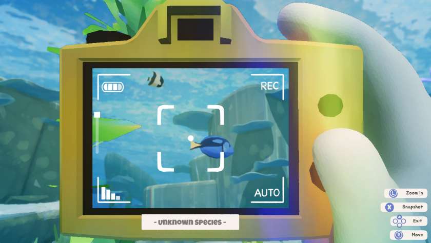 A fish in Splash Divers