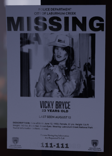A missing person flier in We Stay Behind