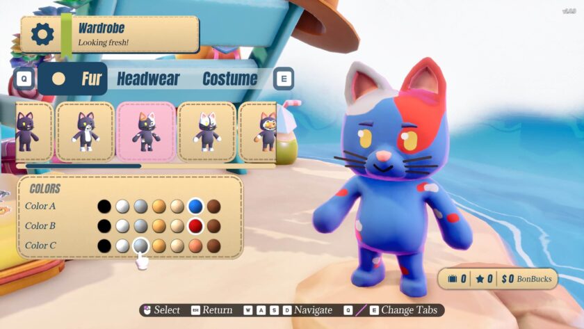 customize cat